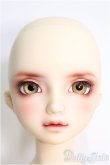画像1: 【SALE】SD/F-59 ワンオフモデル I-24-10-06-1082-TO-ZI (1)