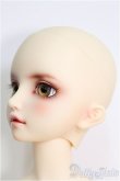 画像2: 【SALE】SD/F-59 ワンオフモデル I-24-10-06-1082-TO-ZI (2)