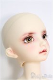 画像3: 【SALE】SD/F-59 ワンオフモデル I-24-10-06-1082-TO-ZI (3)