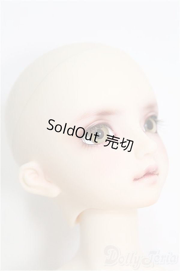 画像3: SD/F-59 ワンオフモデル I-24-10-06-1082-TO-ZI (3)