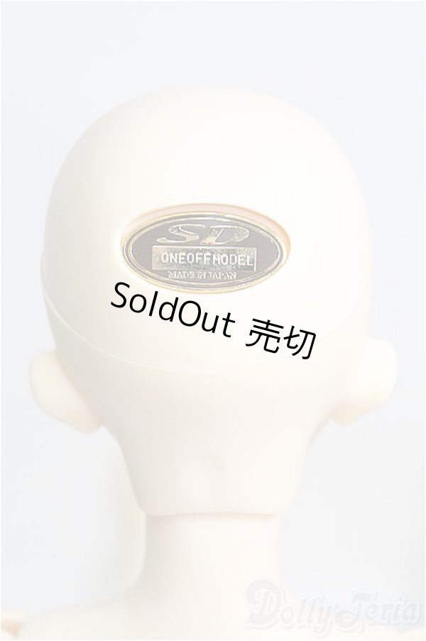 画像4: SD/F-59 ワンオフモデル I-24-10-06-1082-TO-ZI (4)