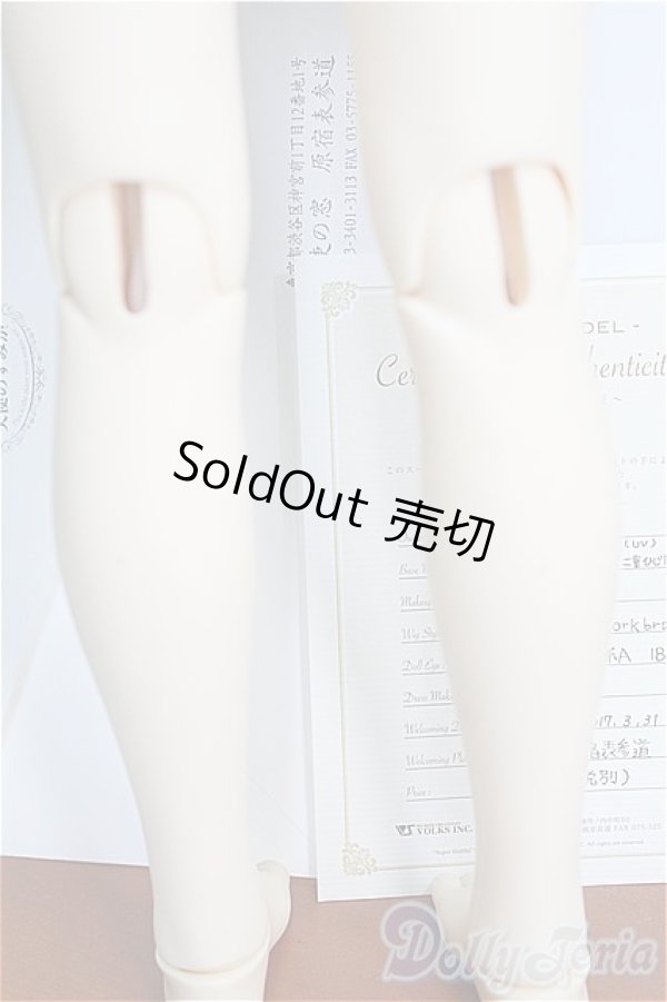 画像7: SD/F-59 ワンオフモデル I-24-10-06-1082-TO-ZI (7)