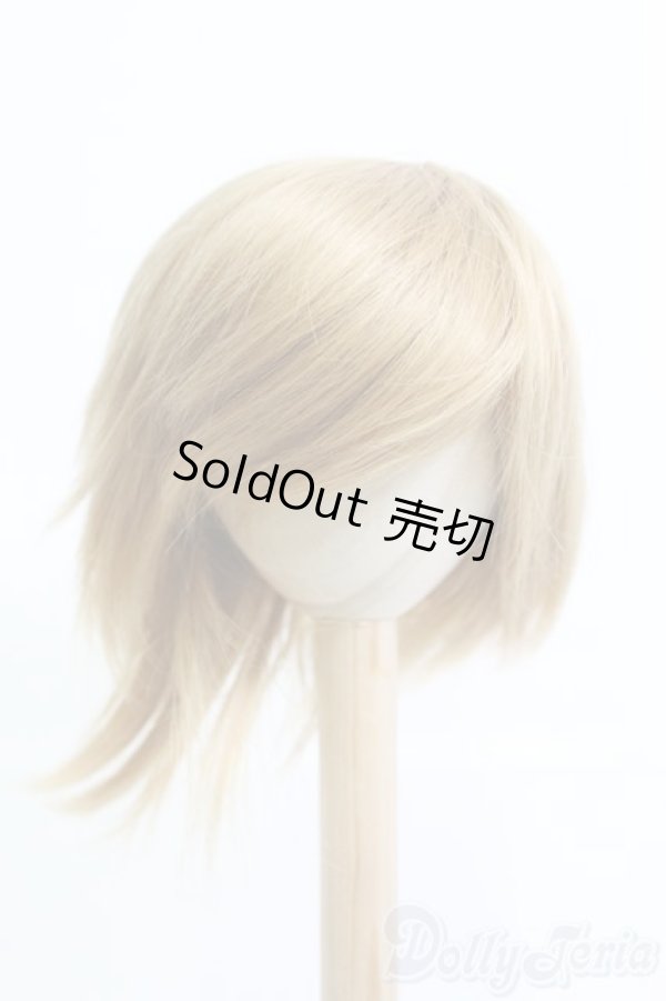 画像1: 8-9inch/ウィッグ I-25-05-11-2024-TO-ZI (1)
