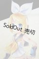 画像: 【新宿マルイアネックス店 店頭販売商品】DDS/鏡音リン Reboot　2100110000019576-ZM