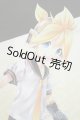 画像: 【新宿マルイアネックス店 店頭販売商品】DDS/鏡音レンREBOOT　2100110000019577-ZM