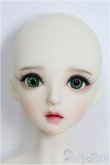 画像1: 【SALE】Asleep Eidolon/Aure I-24-10-06-1010-TO-ZI (1)
