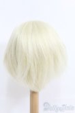 画像2: 9-10inch/ウィッグ I-25-05-25-2028-TO-ZI (2)