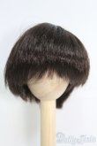 画像1: 7~8inch/ウィッグ I-25-05-11-3026-TO-ZI (1)