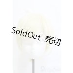 画像: 8.5inch/ウィッグ I-25-05-11-3035-YB-ZI