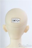 画像4: 【SALE】SWITCH/HD60 YIHO：DollismPlusTokyo2018 I-24-10-06-1006-TO-ZI (4)