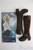 画像3: 【SALE】DD/OF 月姫 アルクェイド・ブリュンスタッド I-24-10-13-1124-TO-ZI (3)