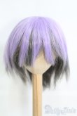画像1: 9inch/ウィッグ I-25-05-04-3029-TO-ZI (1)