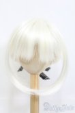 画像1: 9inch/ウィッグ I-25-05-18-2023-TO-ZI (1)