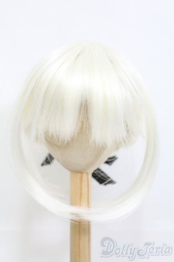 画像1: 9inch/ウィッグ I-25-05-18-2023-TO-ZI (1)