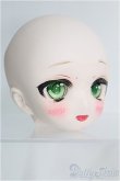 画像3: 【SALE】DD/DDH-01カスタムヘッド I-24-10-13-1078-TO-ZI (3)