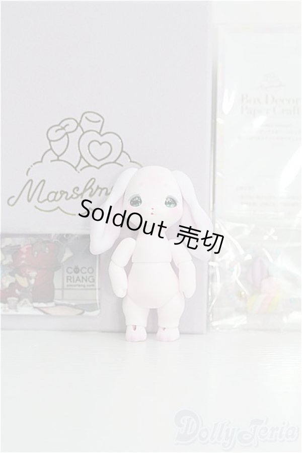 cocoriang/Marshmallow Groomy I-25-01-19-1002-TO-ZI
