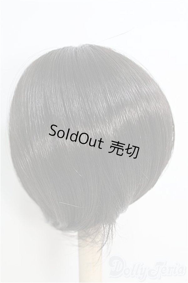 画像2: 【SALE】7-8inch/ウィッグ I-24-11-03-2040-TO-ZI (2)