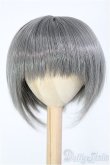 画像1: 【SALE】8-9inch/ウィッグ I-24-11-10-2036-TO-ZI (1)