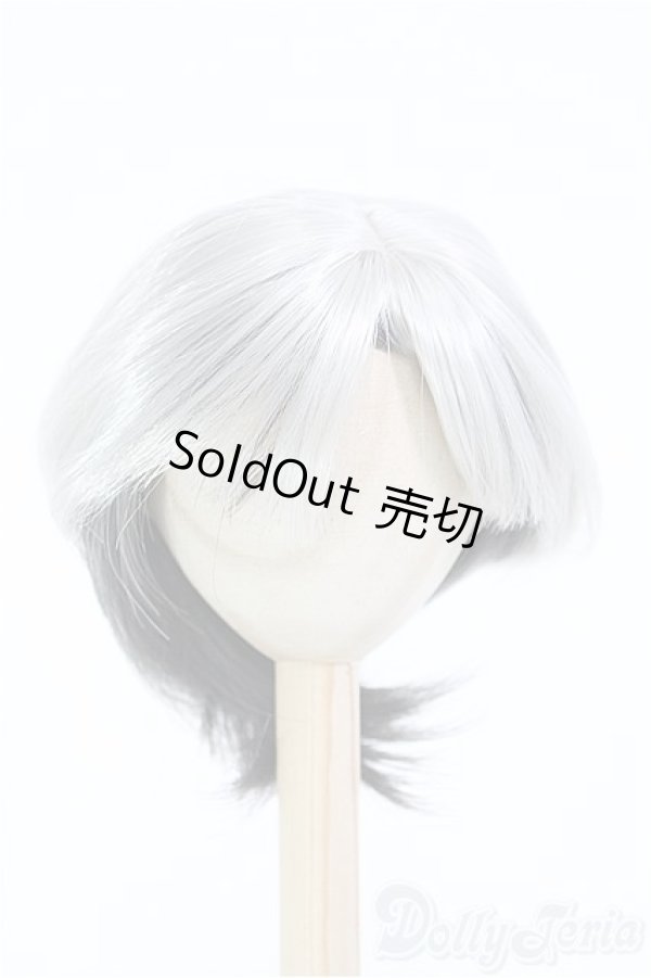 画像1: 【SALE】9inch/ウィッグ I-24-10-27-1099-TO-ZI (1)