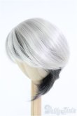 画像2: 【SALE】9inch/ウィッグ I-24-10-27-1099-TO-ZI (2)
