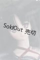 画像: DD/機巧少女は傷つかない 夜々 I-24-10-27-1004-TO-ZI