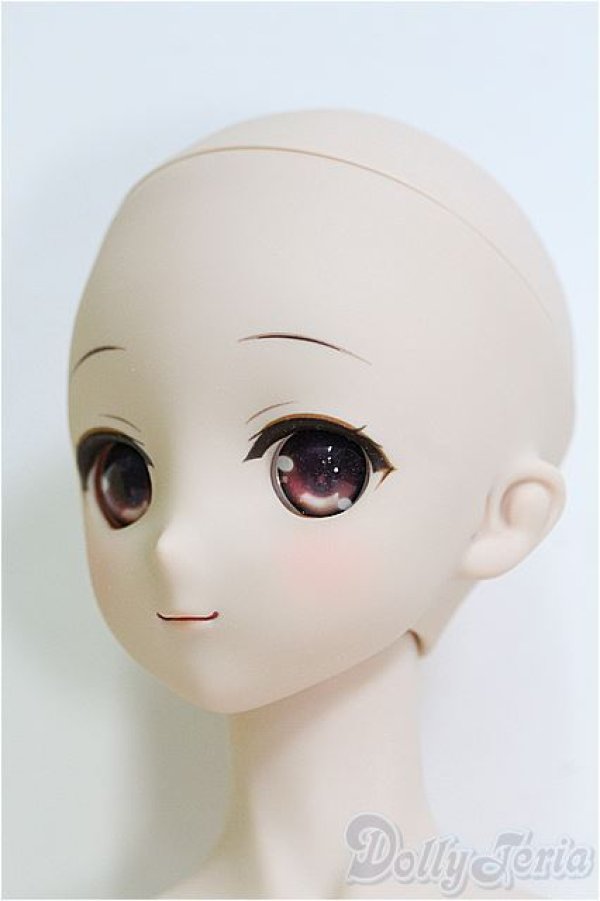 全品送料0円 DD/DDH-27 カスタムヘッド (MDD/DDH-27 I-24-07-28-1017-KN-ZI 本体
