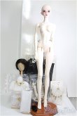 画像5: 【SALE】Angel Studio/Aeolianフルセット I-24-11-03-1002-TO-ZI (5)