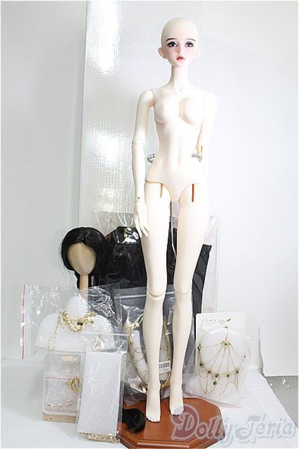 画像5: Angel Studio/Aeolianフルセット I-25-06-15-1092-TO-ZI (5)