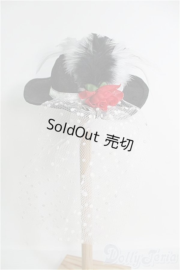 画像4: 【SALE】SD13Girl/DollHeart製LD000528 I-24-11-17-2069-TO-ZI (4)