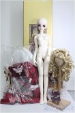 画像6: 【SALE】SDGr女の子/マリー・アントワネット I-24-11-10-1002-TO-ZI (6)