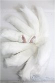 画像1: 【SALE】SD/OF:衣装セット I-24-11-24-3200-YB-ZI (1)