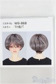 画像1: 8-9inch/ウィッグ I-25-05-11-1086-TO-ZI (1)