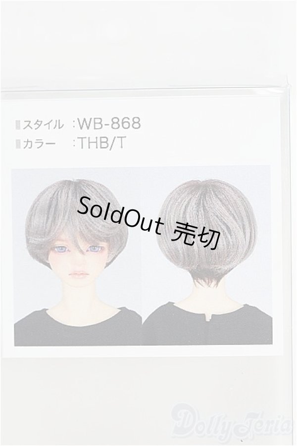 画像1: 8-9inch/ウィッグ I-25-05-11-1086-TO-ZI (1)