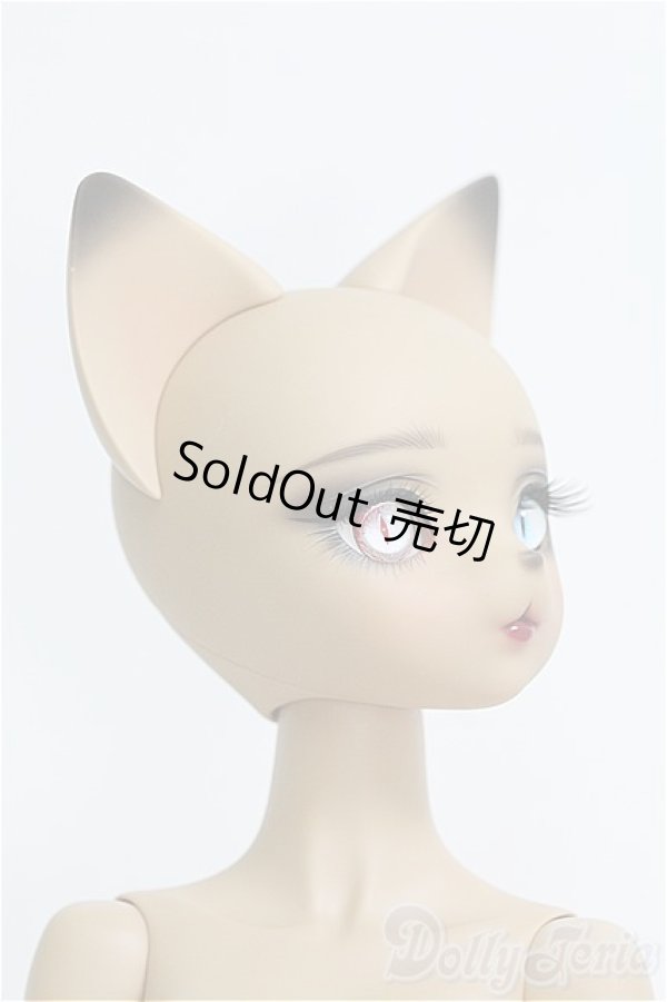 画像3: DEARMINE/VIVIEN L.~Le festin~  I-24-11-10-1064-TO-ZI (3)