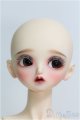 画像: 【SALE】Peak's Woods/FOB Lady Bee I-24-11-10-1063-TO-ZI
