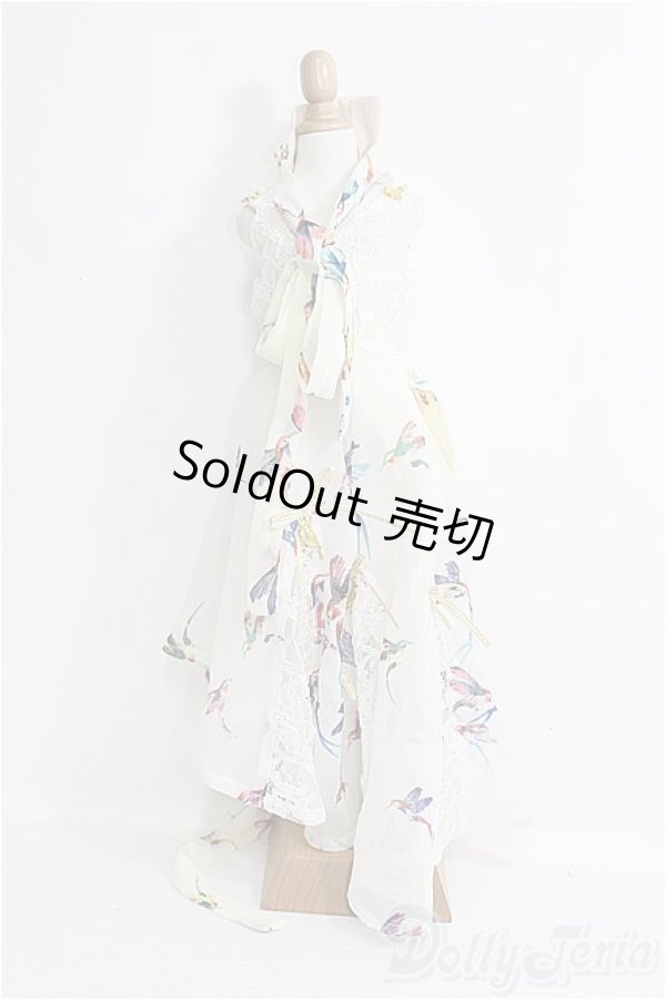 画像1: 【SALE】SD/OF:ドレス I-24-12-01-2053-YB-ZI (1)