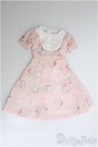 画像1: 【SALE】DD/OF:ドレス I-24-12-01-2087-YB-ZI (1)