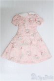 画像2: 【SALE】DD/OF:ドレス I-24-12-01-2087-YB-ZI (2)