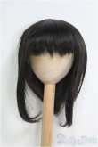 画像1: 【SALE】9-10inch/ウィッグ I-24-12-01-2045-YB-ZI (1)