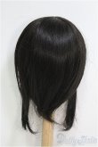 画像2: 【SALE】9-10inch/ウィッグ I-24-12-01-2045-YB-ZI (2)
