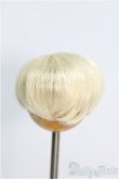 画像2: 【SALE】4inch/ウィッグ I-24-12-01-2023-YB-ZI (2)