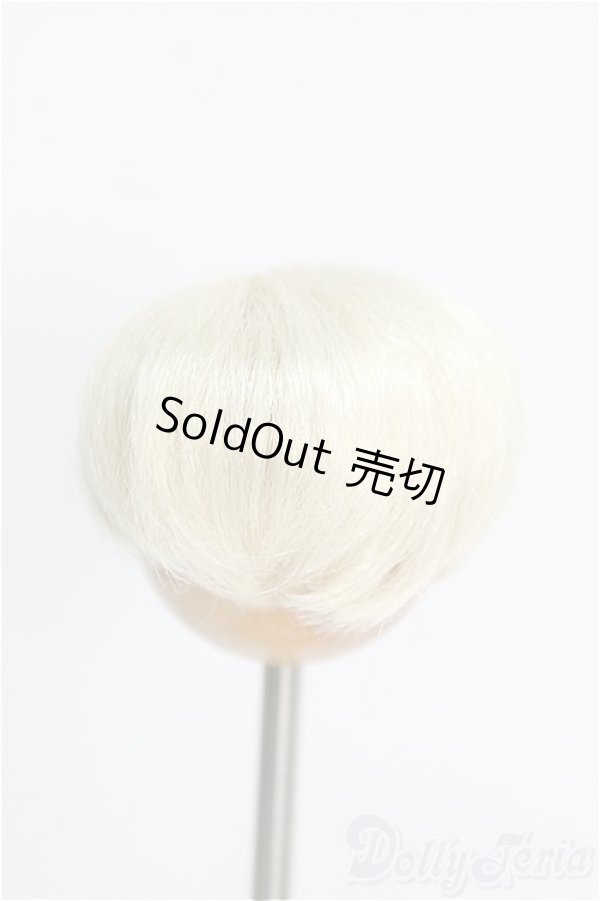 画像2: 【SALE】4inch/ウィッグ I-24-12-01-2023-YB-ZI (2)