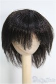 画像1: 【SALE】6-7inch/ウィッグ I-24-12-08-2011-YB-ZI (1)