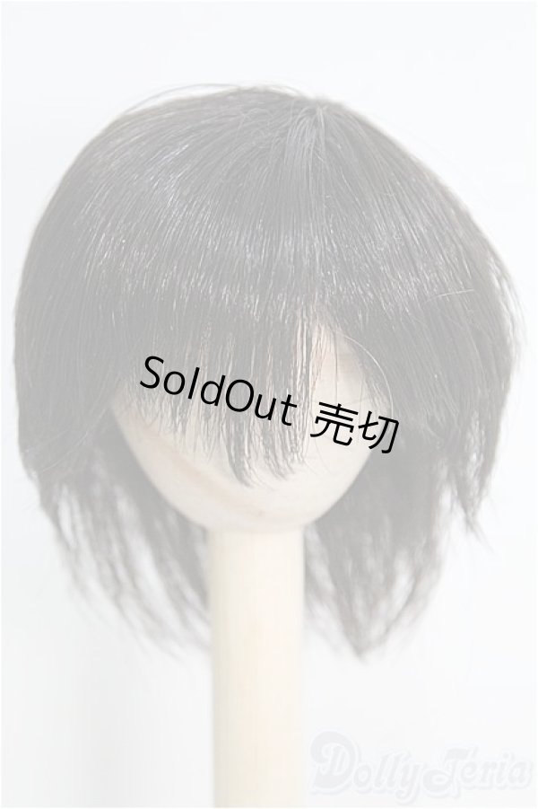画像1: 【SALE】6-7inch/ウィッグ I-24-12-08-2011-YB-ZI (1)