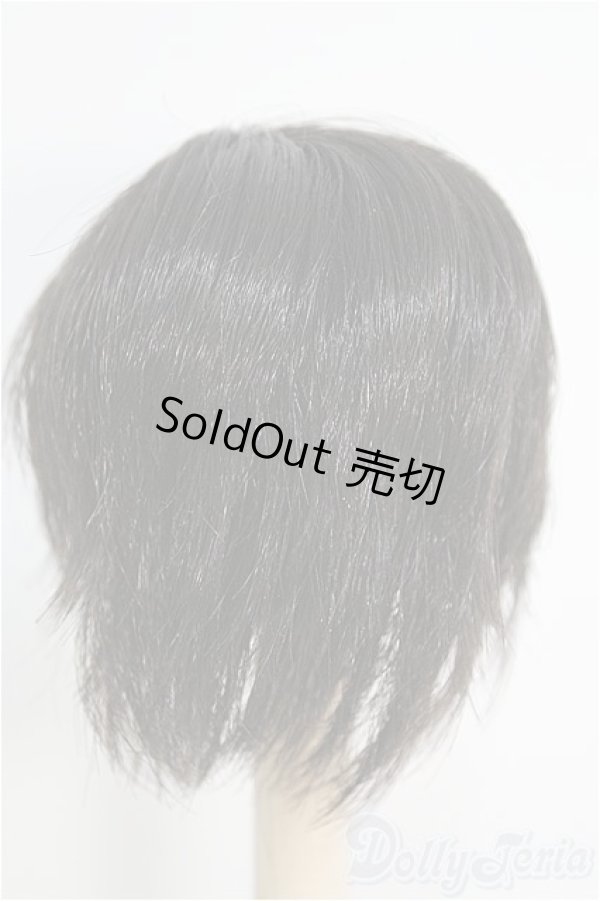 画像2: 【SALE】6-7inch/ウィッグ I-24-12-08-2011-YB-ZI (2)