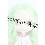 画像: ネオブライス/プリマドーリーアマリリス I-24-11-17-1012-TO-ZI