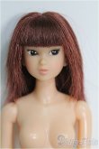 画像1: 【SALE】momokoDOLL/本体のみ I-24-11-17-1089-TO-ZI (1)