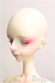 画像3: 【SALE】DOLL CHATEAU/Alan(human)フルセット I-24-11-17-1005-TO-ZI (3)