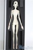 画像5: 【SALE】DOLL CHATEAU/Alan(human)フルセット I-24-11-17-1005-TO-ZI (5)