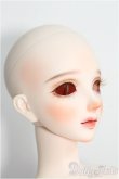 画像2: 【SALE】RINGDOLL/Alice01 Steampunk ver. Limited I-24-11-24-1004-TO-ZI (2)